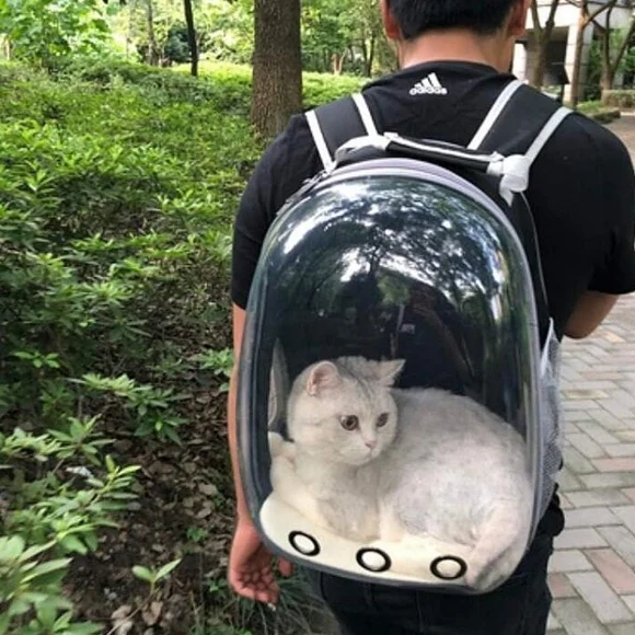 Cat Carrier Cat Bag, Breathable Portable Pet Backpack, Outdoor Travel Backpack - Picture 2 of 7